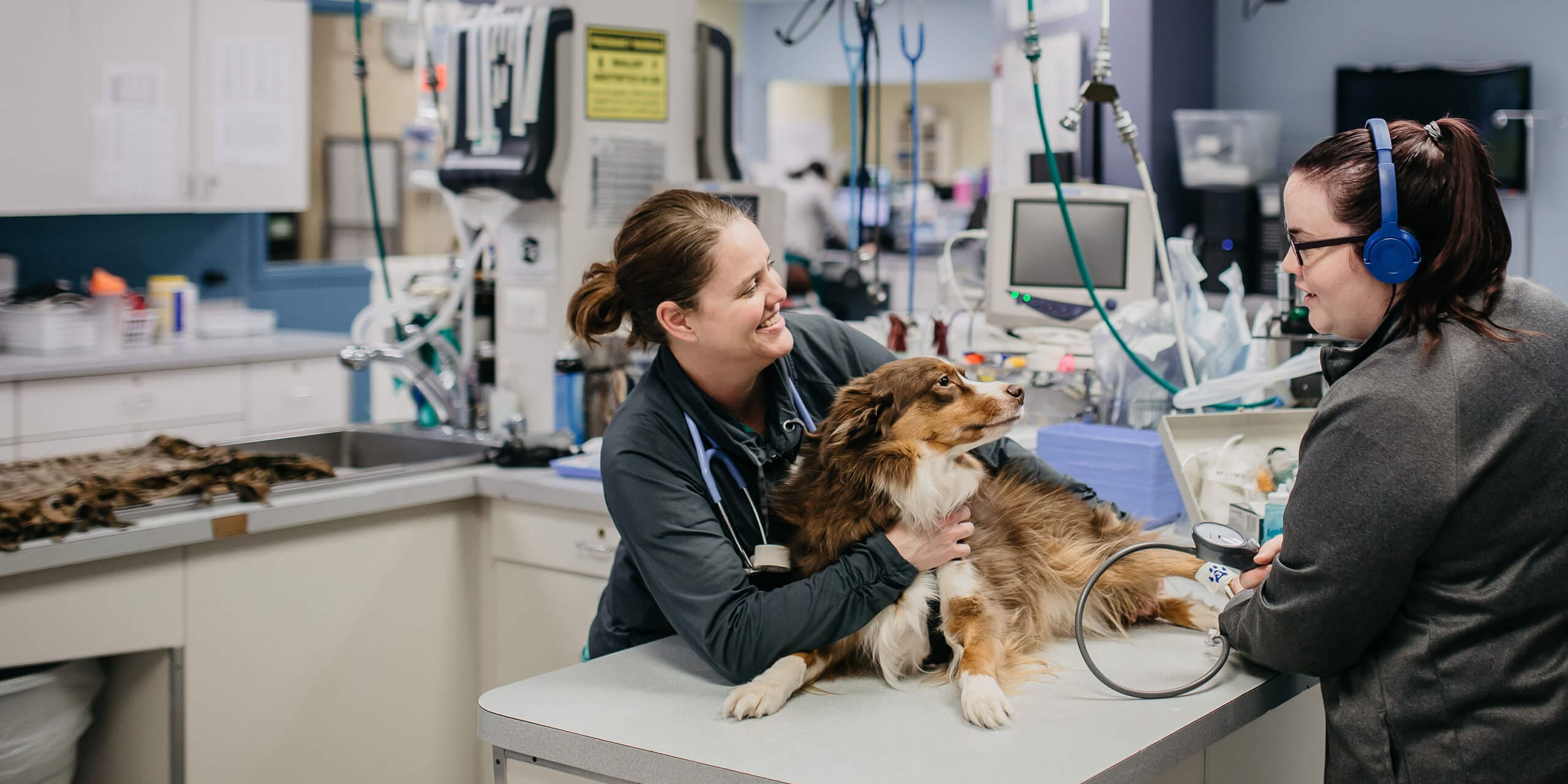 pet clinic near me open