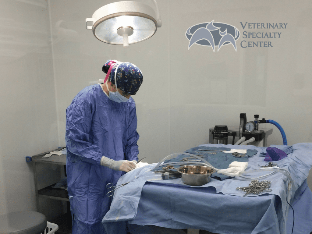Shelter Animal Surgical Service - Veterinary Specialty Center Shelter Animal Surgical Service - Veterinary Specialty Center