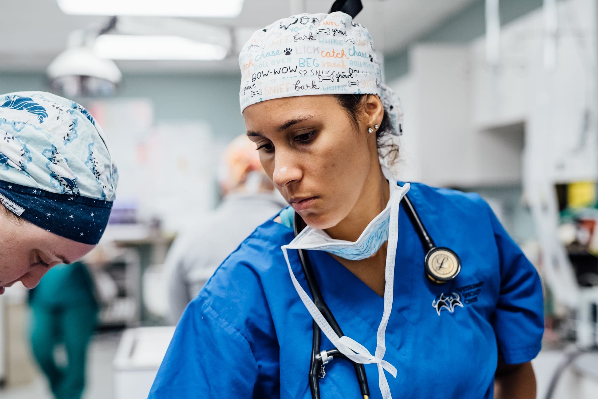 Veterinarian Interns and Residents Veterinary Specialty Center