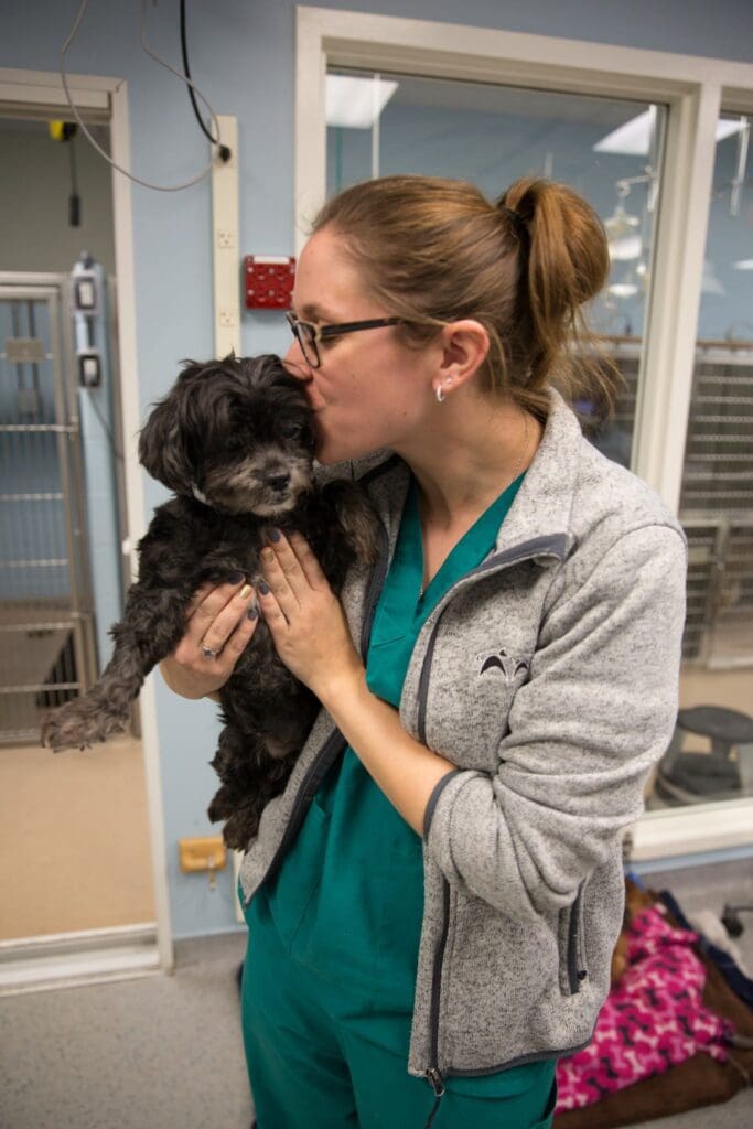 What to Expect Veterinary Specialty Center