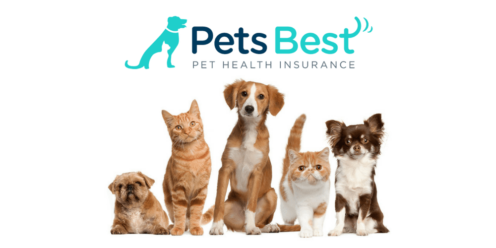 Pet Insurance - Veterinary Specialty Center