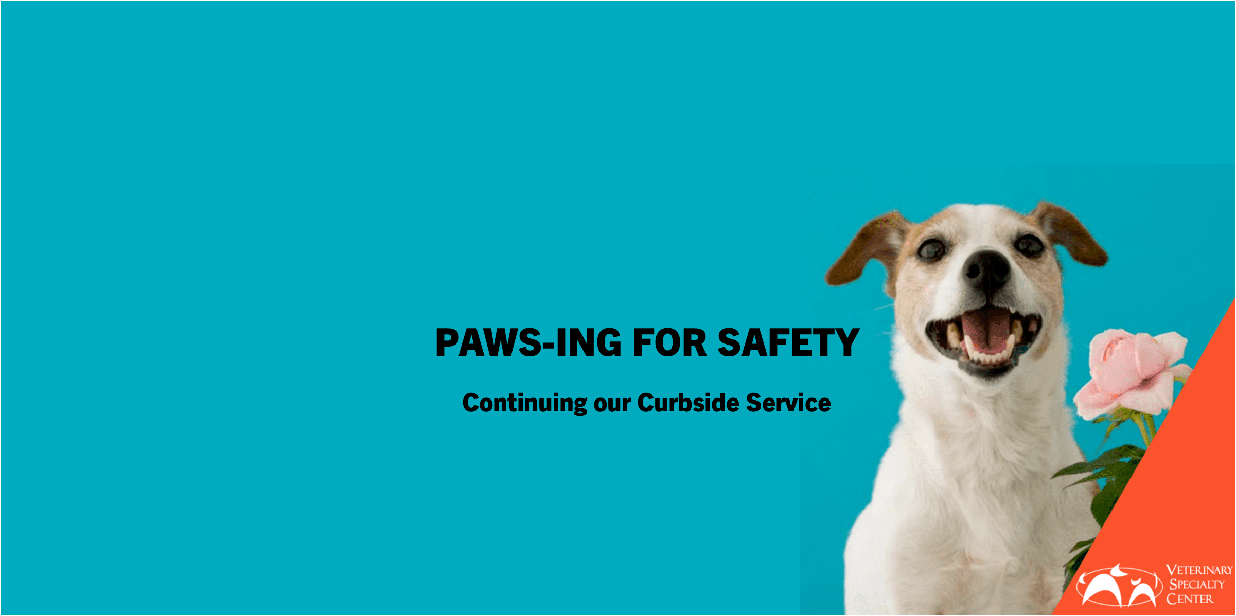 Eye Care For Animals Home Facebook