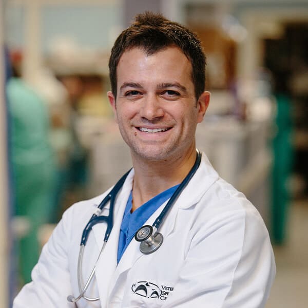 Robert Armentano, Dvm, Dacvim Robert Armentano, Dvm, Dacvim