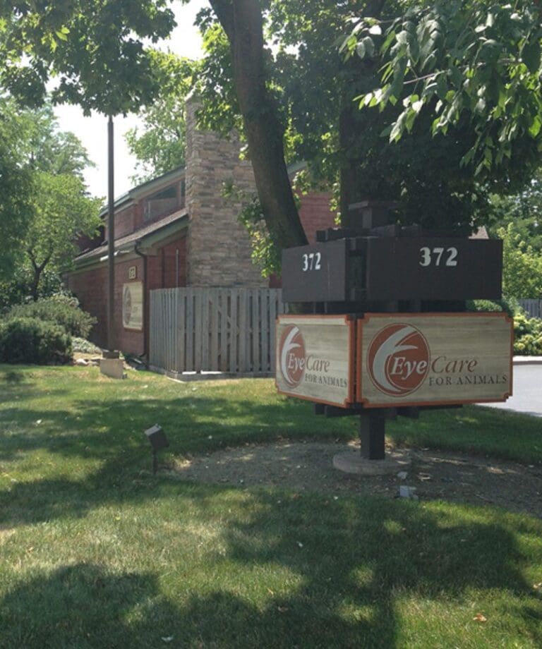 Ophthalmology Veterinary Specialty Center