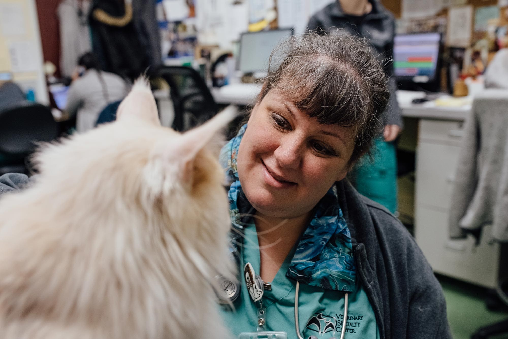 veterinarian smiling at long-haired cat