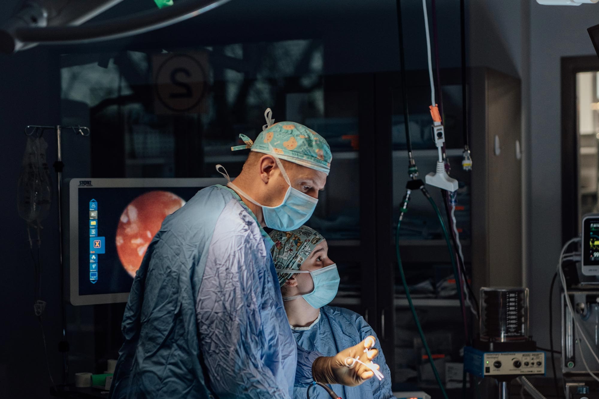 doctors performing surgery on pet