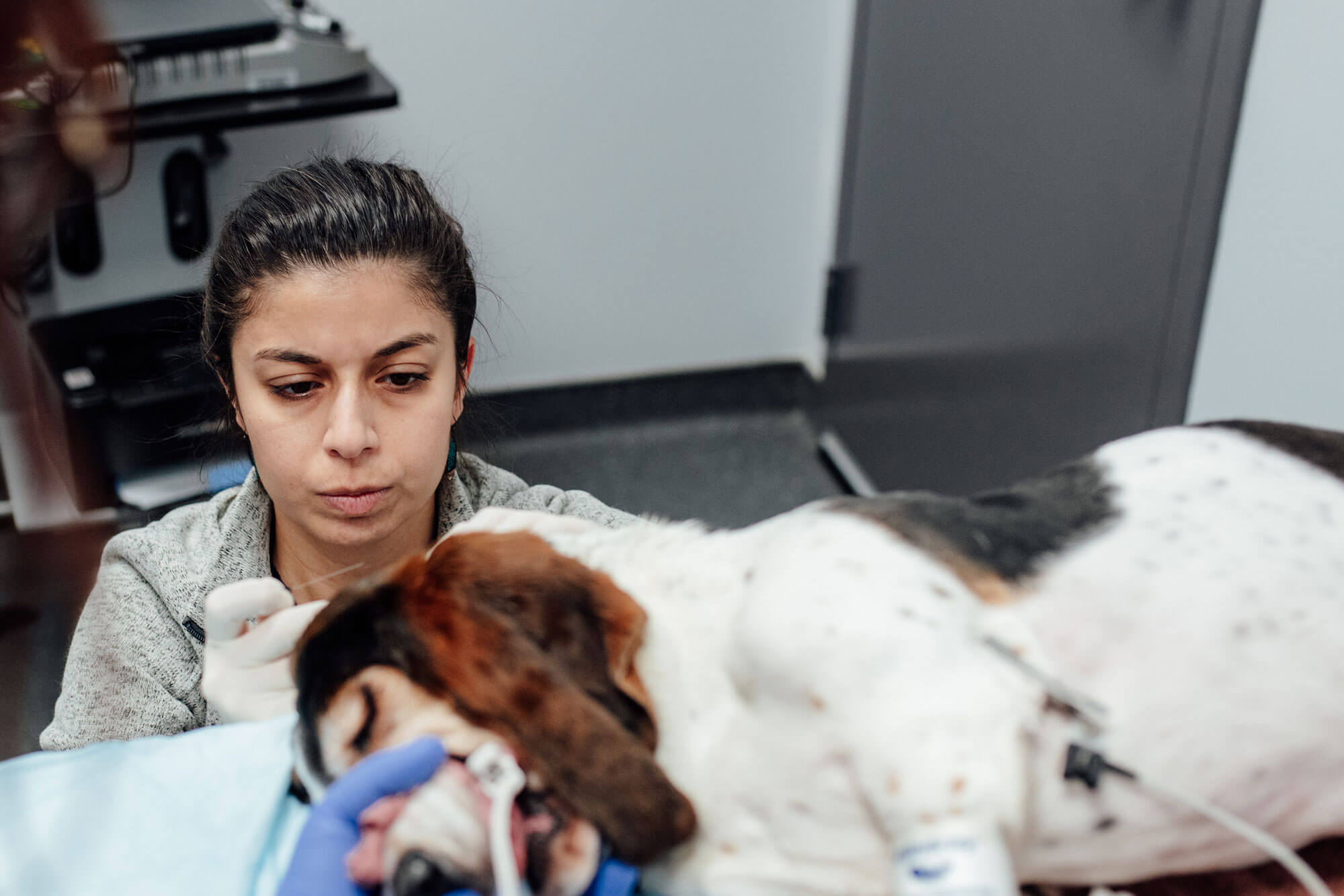 lobby with pet owners and patients