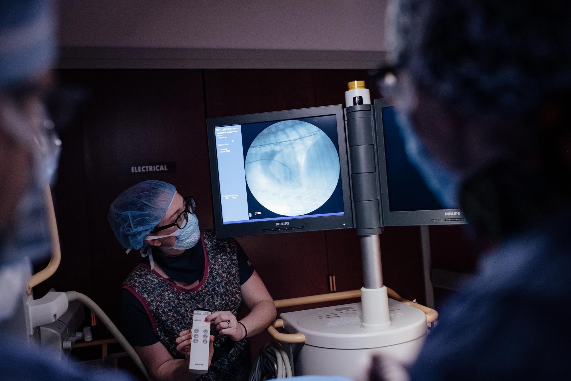 veterinarians looking at fluoroscopy image on screen