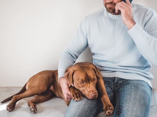 male-pet-owner-calling-vet-on-the-phone-while-sitting-with-his-dog