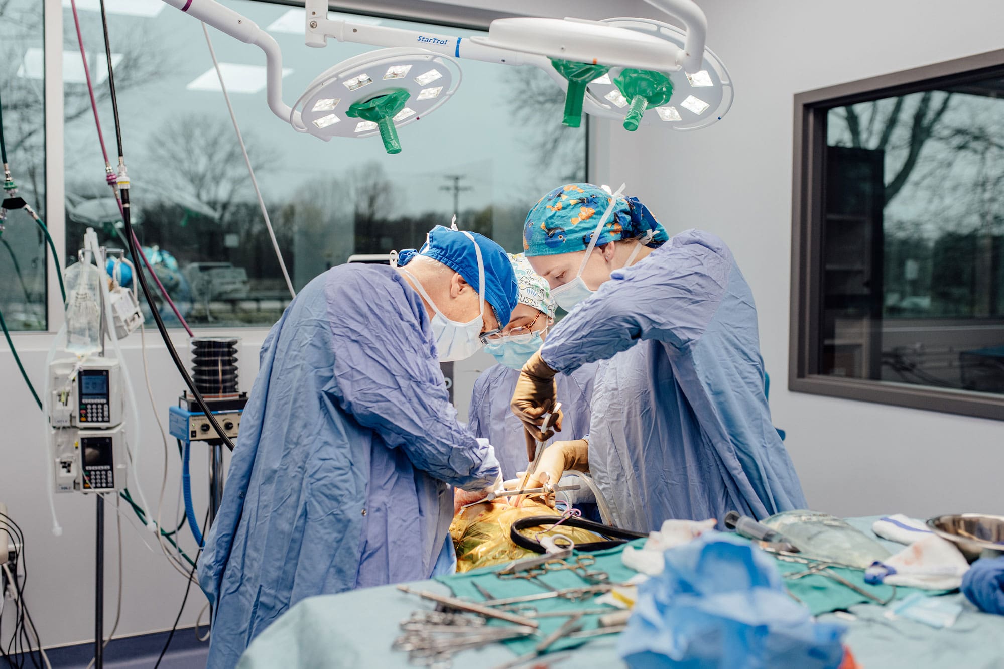 veterinarians performing surgery on dog in operating room