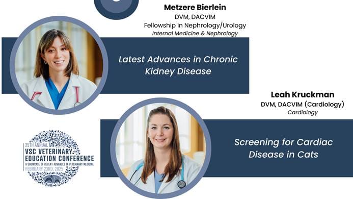 25th Vsc Vet Ed Doctor Lectures Advances In Chronic Kidney Disease Screening Cardiac Disease