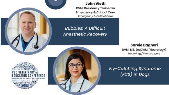 25th Vsc Vet Ed Doctor Lectures Bubbles Difficult Anesthetic Recovery Fcs In Dogs