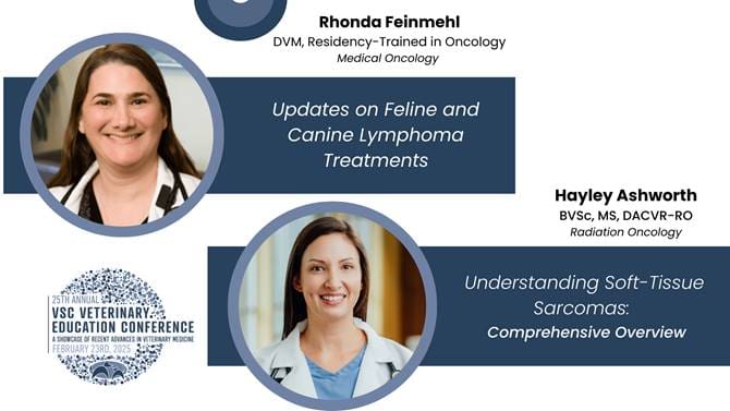 25th Vsc Vet Ed Doctor Lectures Feline Canine Lymphoma Treatments Soft Tissue Sarcomas