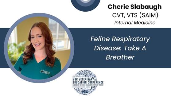 25th Vsc Vet Ed Tech Lectures Feline Respiratory Disease