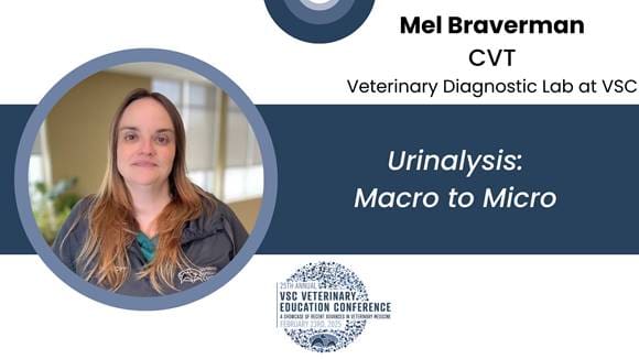 25th Vsc Vet Ed Tech Lectures Urinalysis