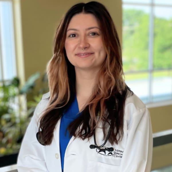 Heidi Luczynski Dvm Heidi Luczynski Dvm