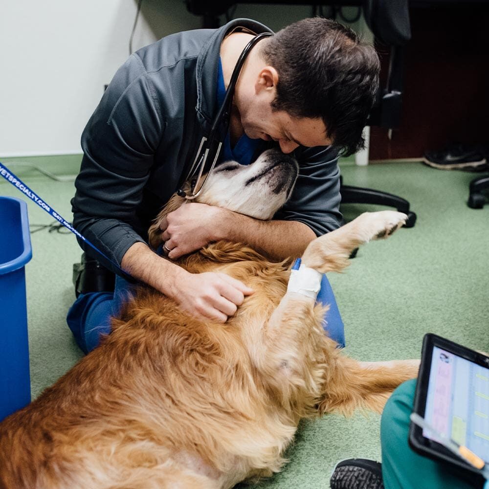 Doctor Smiling And Hugging Dog On Floor Doctor Smiling And Hugging Dog On Floor