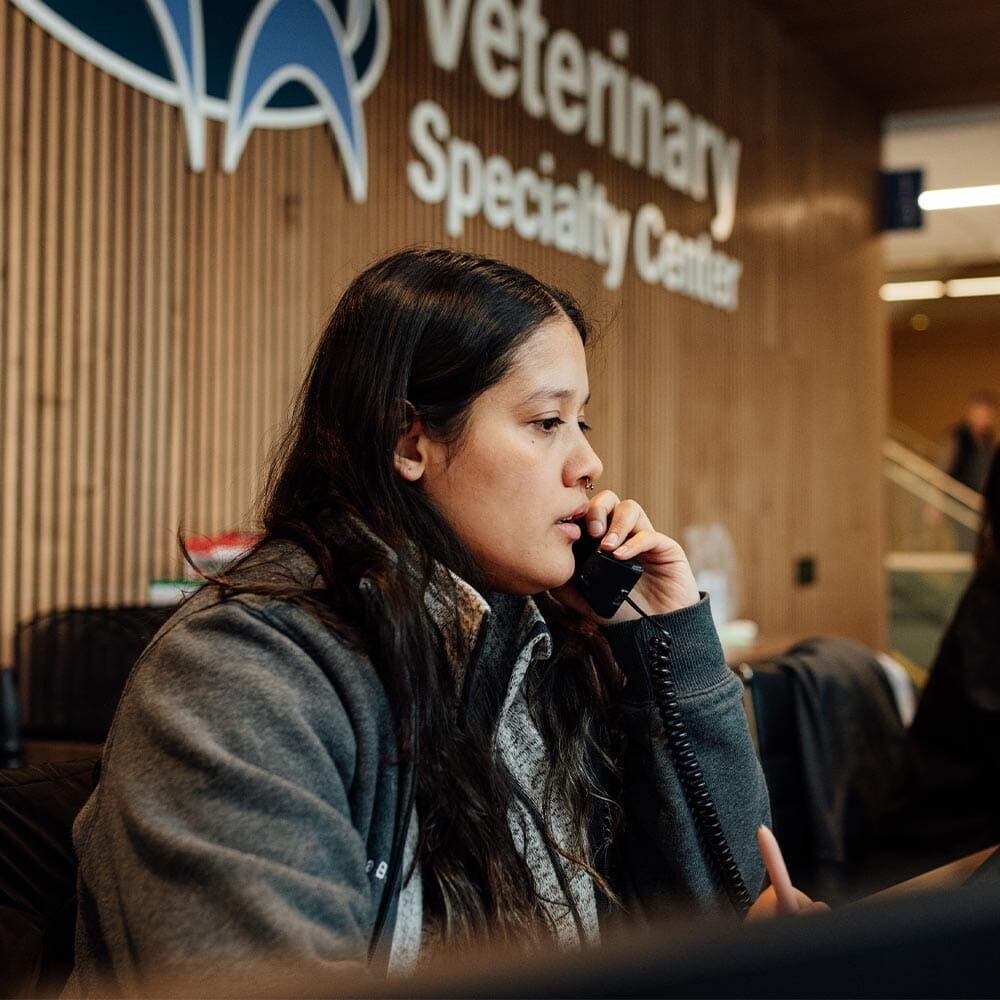 Female Receptionist Answering Phone At Front Desk Female Receptionist Answering Phone At Front Desk