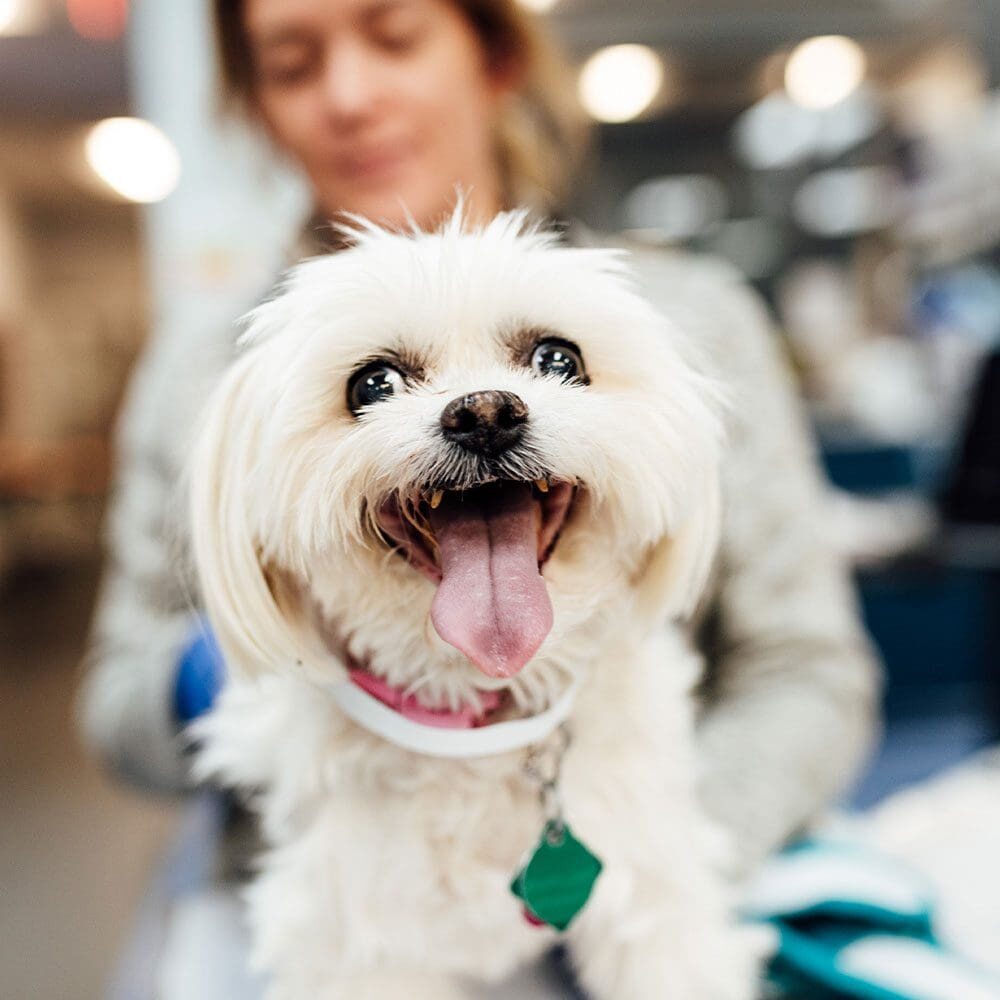 Financial Resources At Bannockburn Il