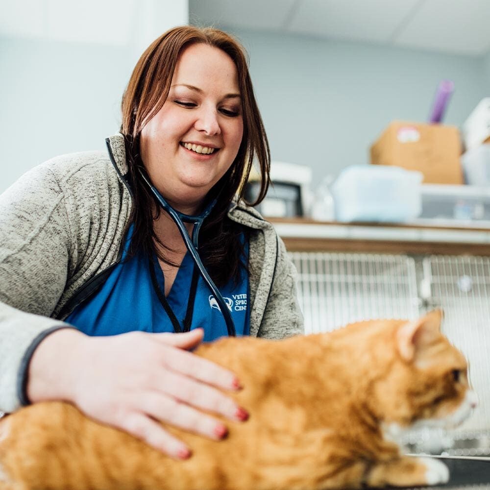 Happy Doctor Checking Cats Heartbeat Happy Doctor Checking Cats Heartbeat