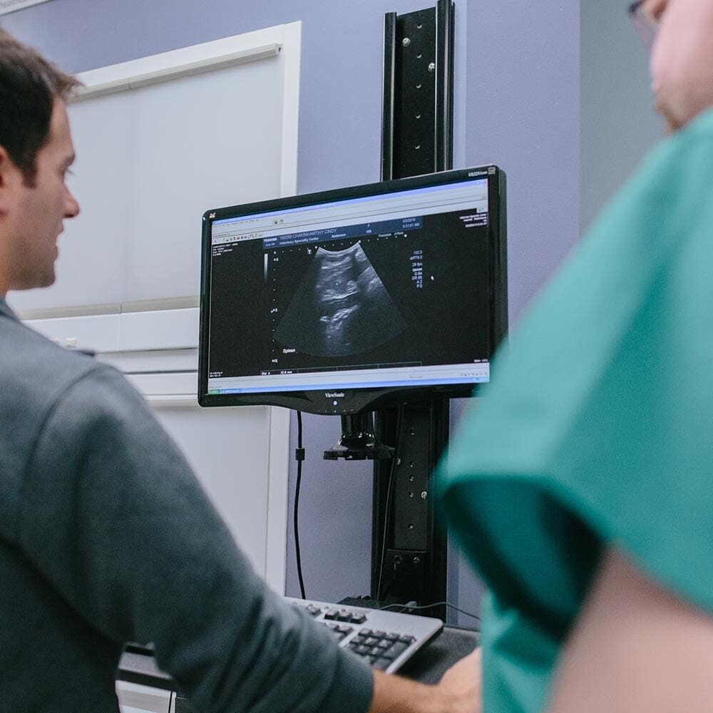 Internal Medicine Doctors Looking At Scan On Computer Internal Medicine Doctors Looking At Scan On Computer