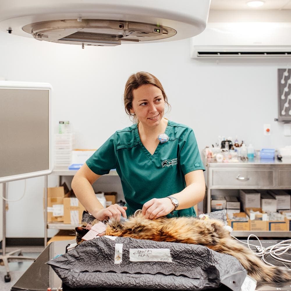 Staff Member With Cat During Radiation Therapy Staff Member With Cat During Radiation Therapy