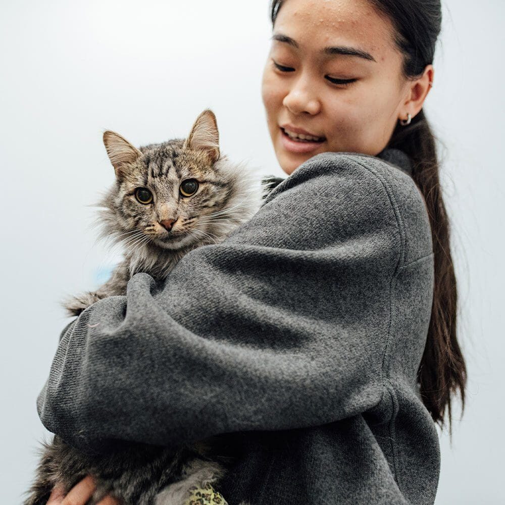 Vet Tech Holding Cat In Arms