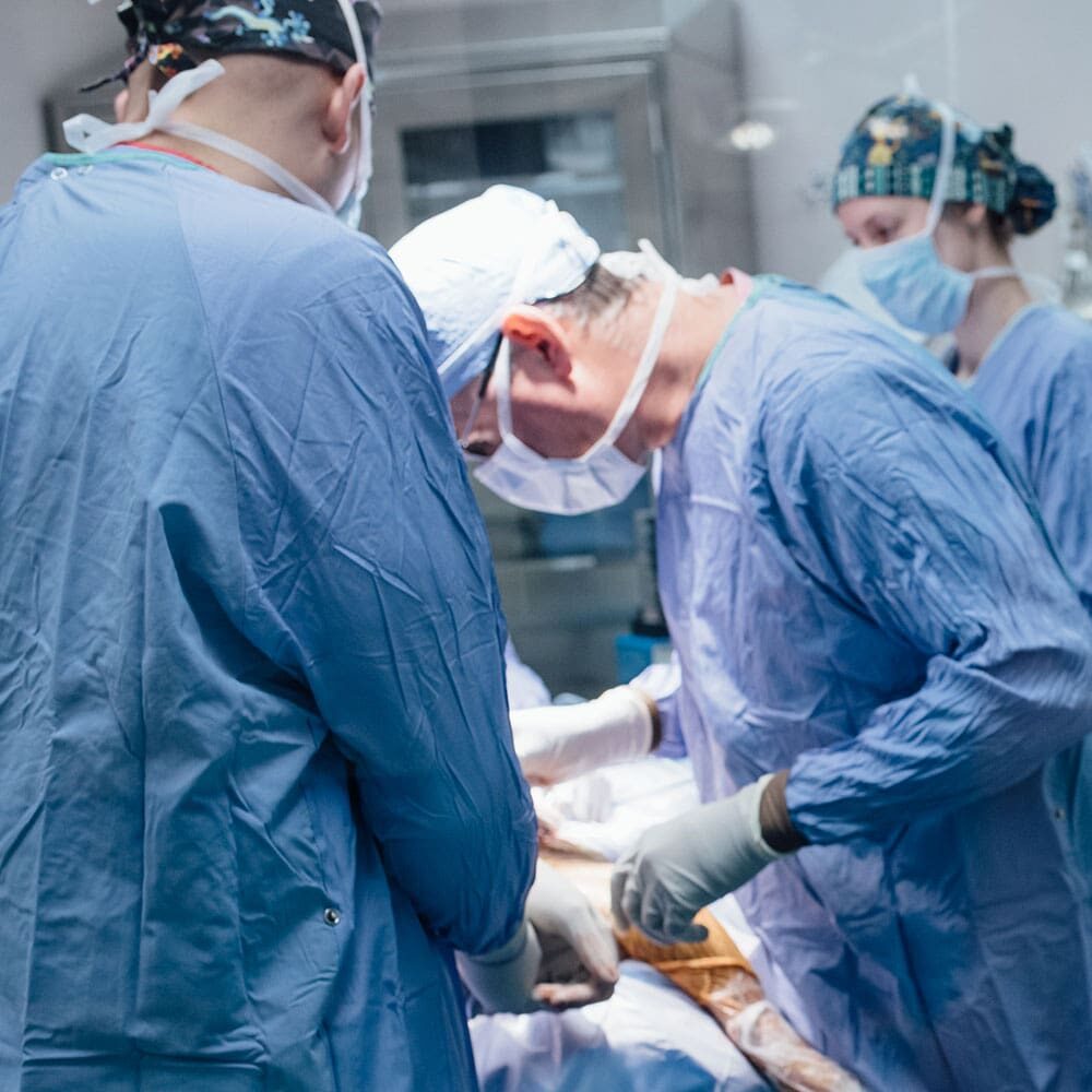 Veterinarians Performing Surgery On Dog