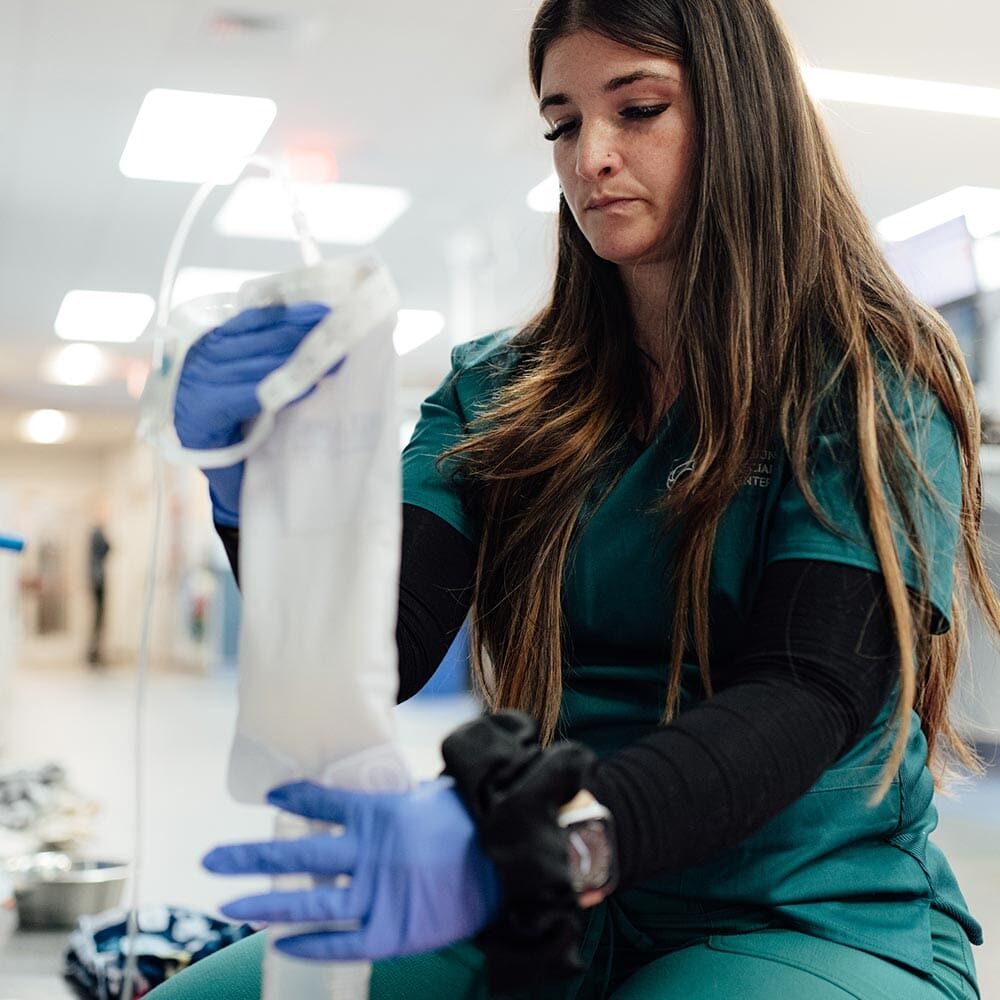 Veterinary Technician Working With Medical Equipment Veterinary Technician Working With Medical Equipment